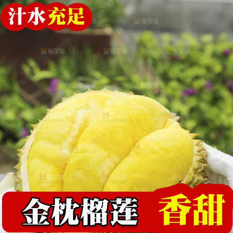 手里拿着金枕榴莲