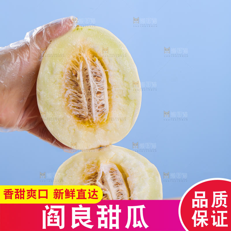 木底上的阎良甜瓜