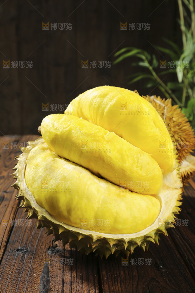 深底上的金枕榴莲