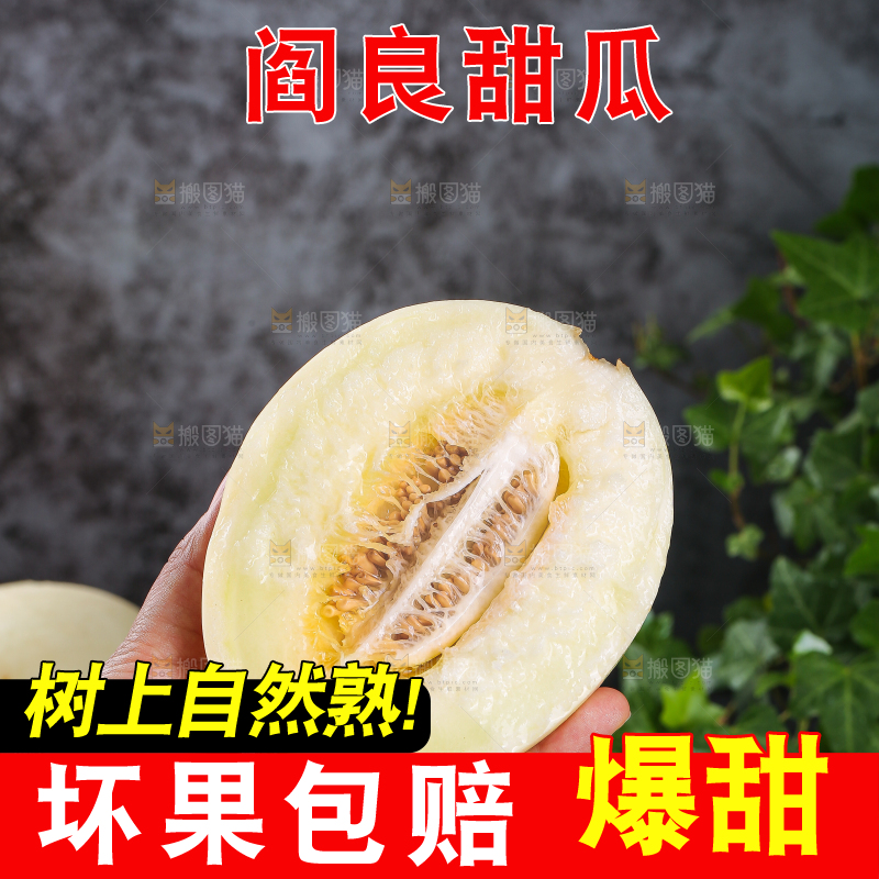 深底上的阎良甜瓜