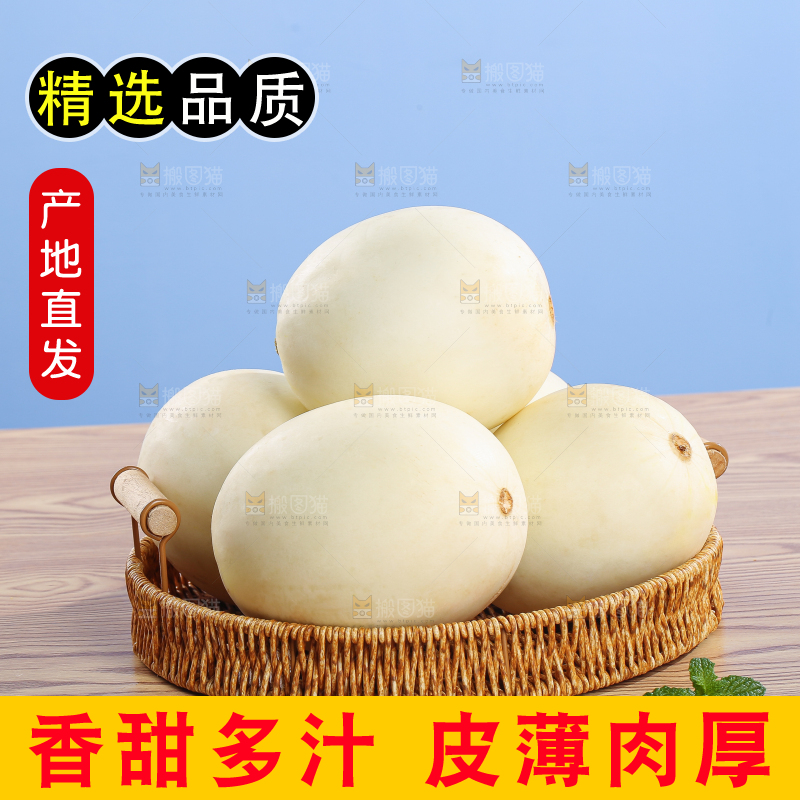 木底上的阎良甜瓜