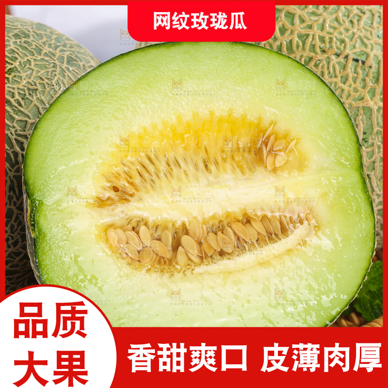 浅底上的玫珑蜜瓜