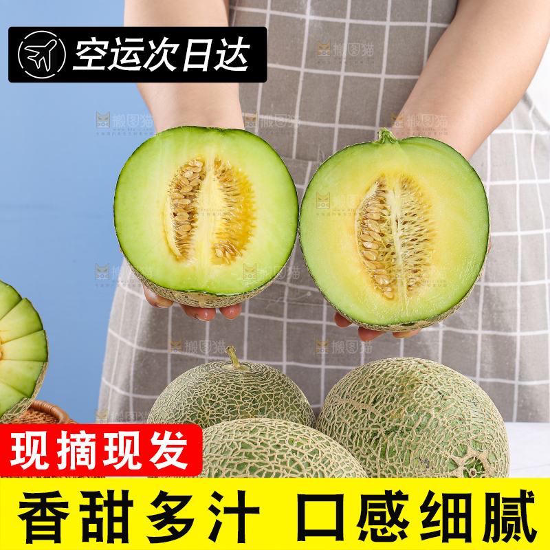 浅底上的玫珑蜜瓜