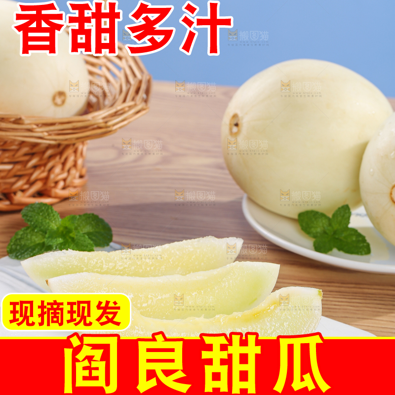 木底上的阎良甜瓜