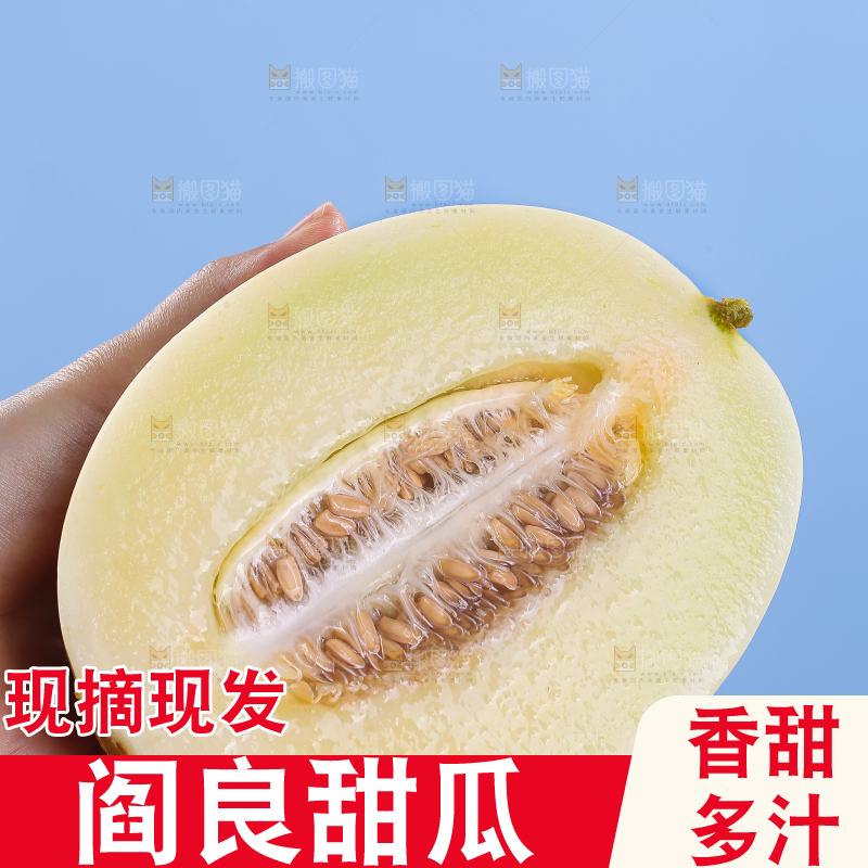 木底上的阎良甜瓜