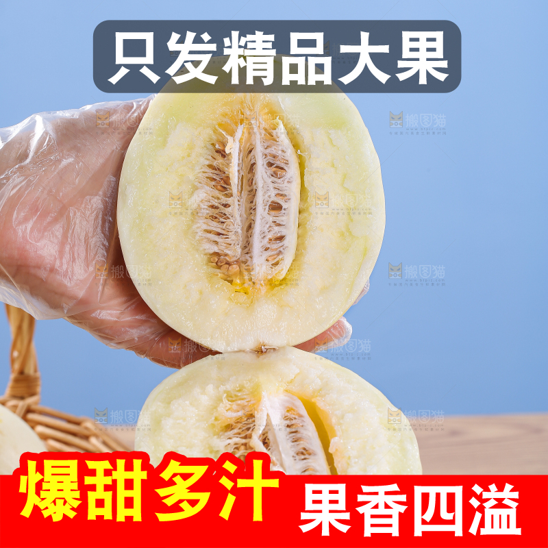 木底上的阎良甜瓜