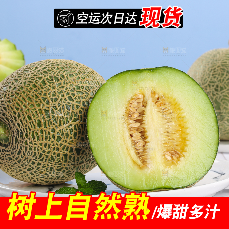 浅底上的玫珑蜜瓜