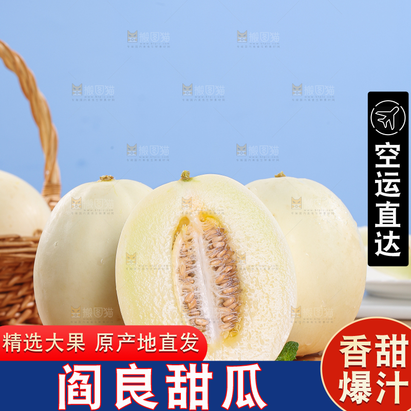 木底上的阎良甜瓜