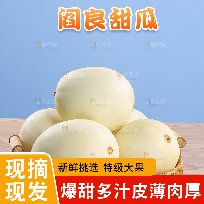 木底上的阎良甜瓜