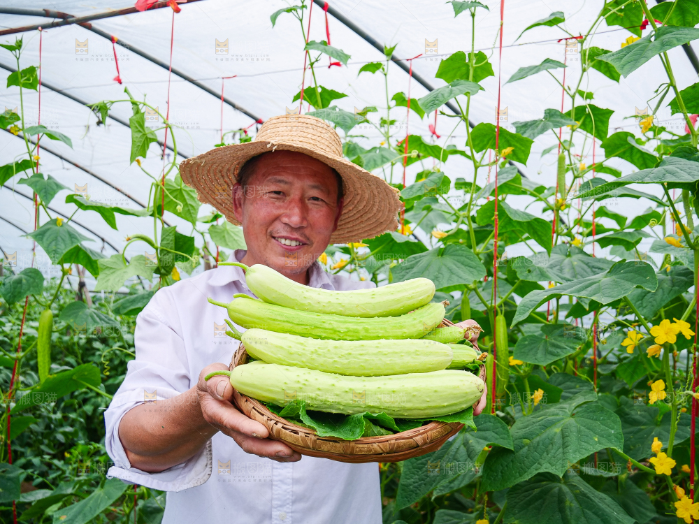 手里拿着白玉黄瓜