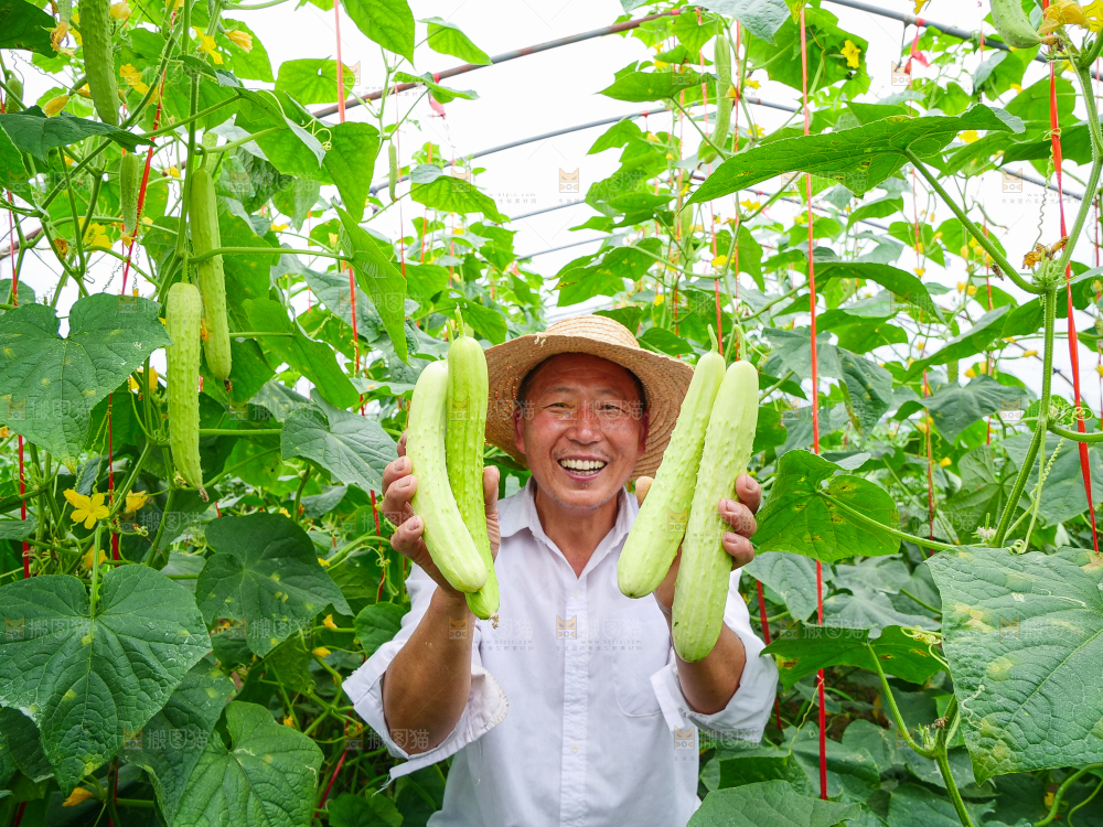 手里拿着白玉黄瓜