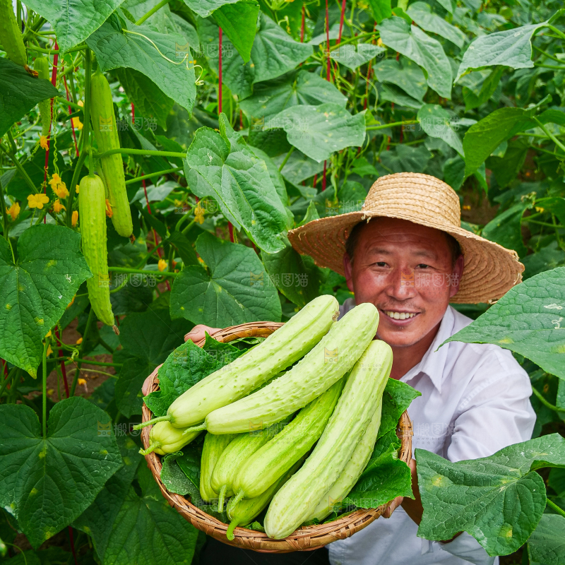 手里拿着白玉黄瓜