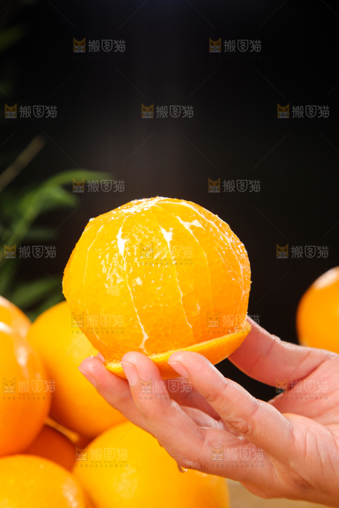 木底上的秭归夏橙
