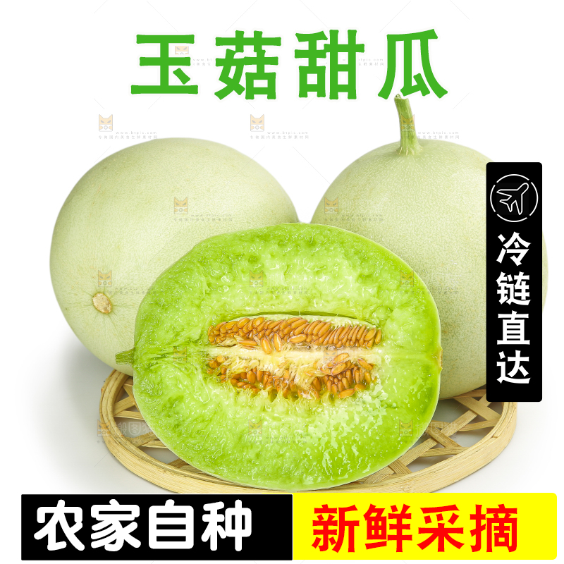 白底上的玉菇甜瓜