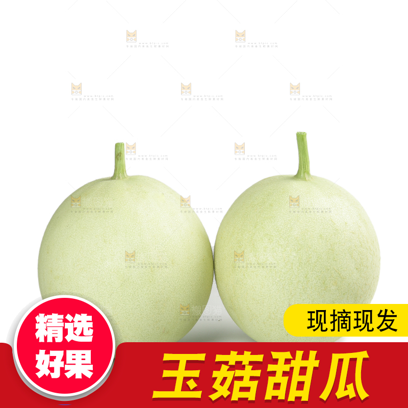 白底上的玉菇甜瓜