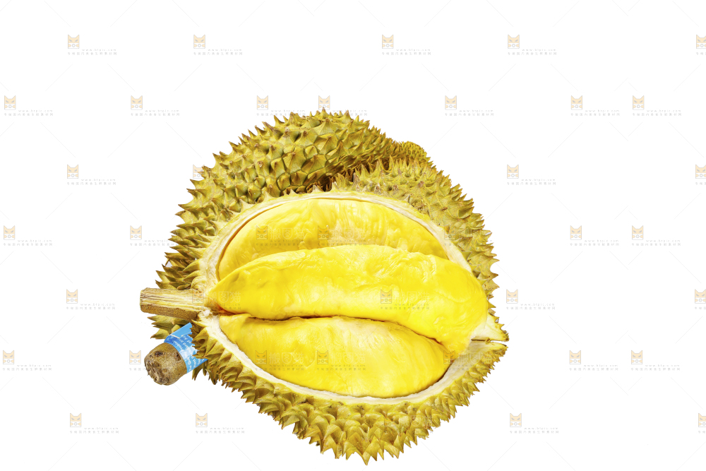 白底上的金枕榴莲