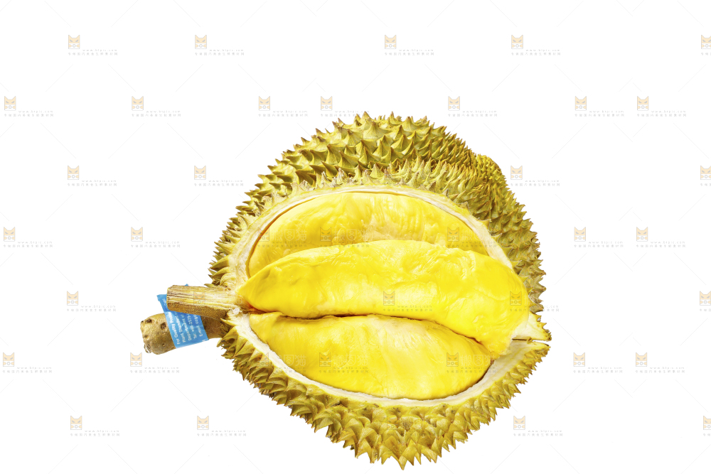 白底上的金枕榴莲