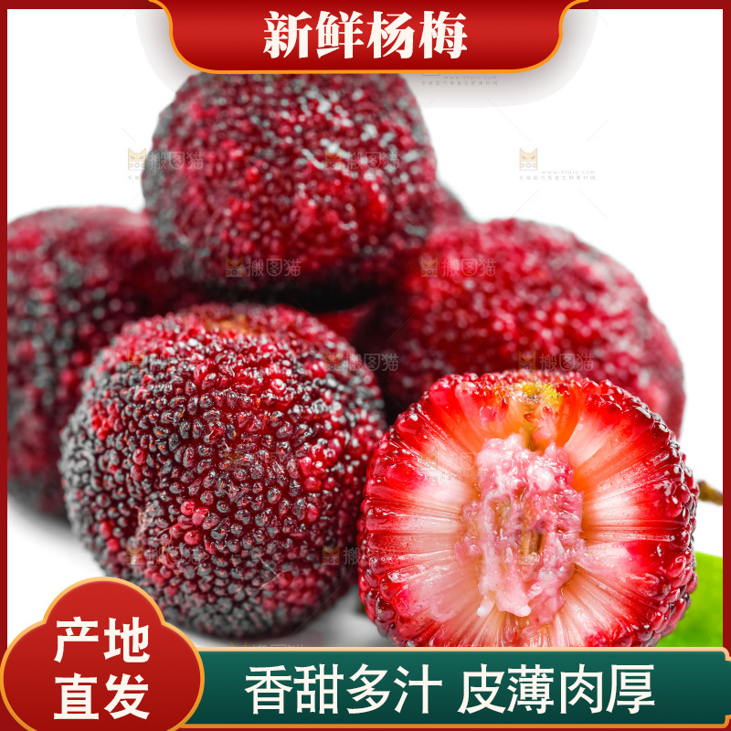 白底上的仙居杨梅