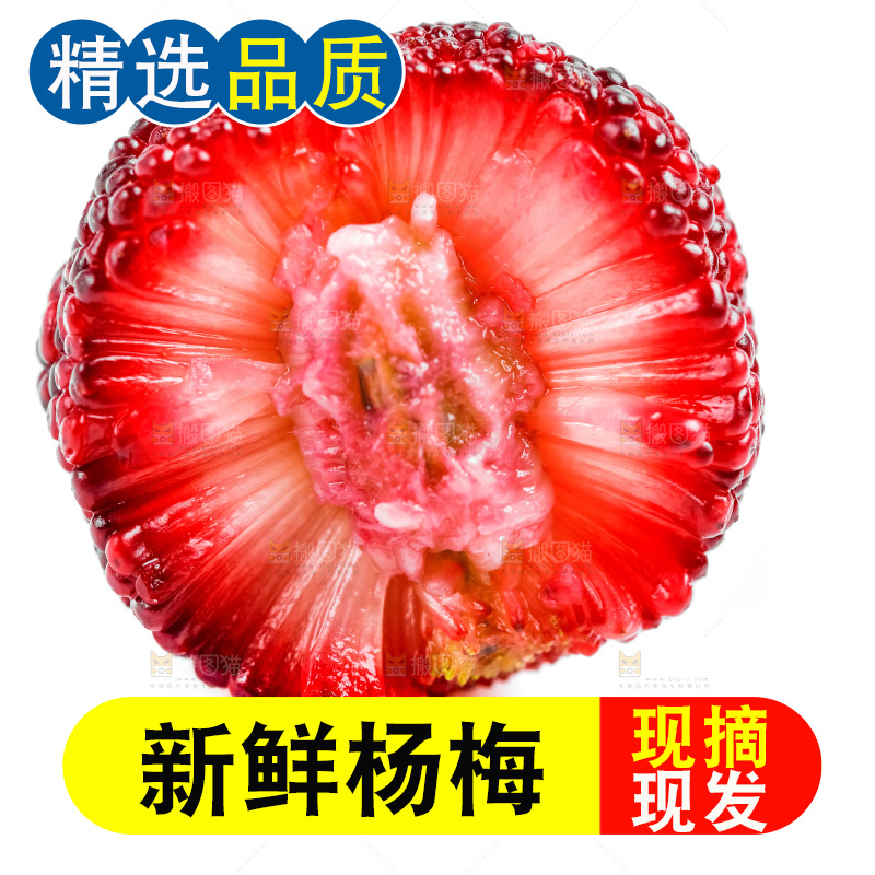 白底上的仙居杨梅