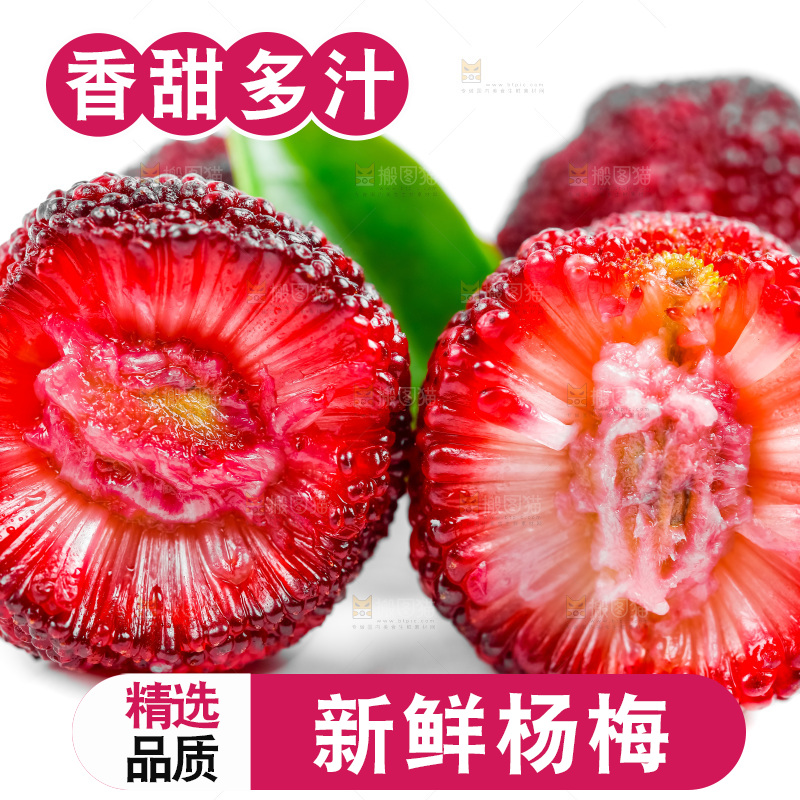 白底上的新鲜杨梅