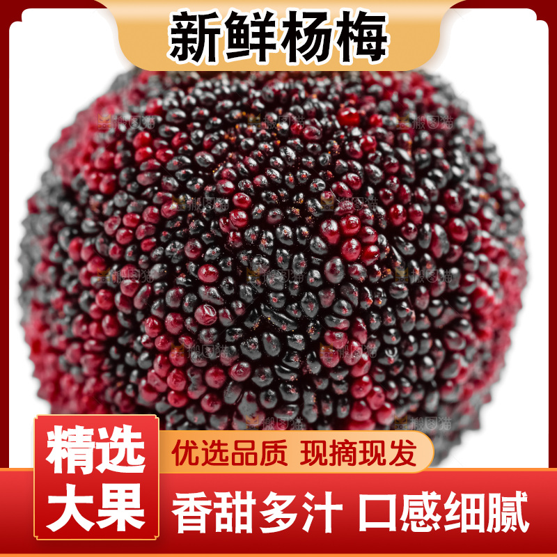 白底上的仙居杨梅