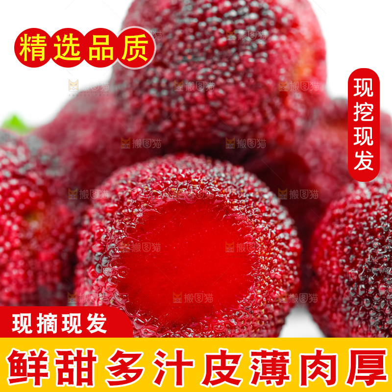 白底上的新鲜杨梅