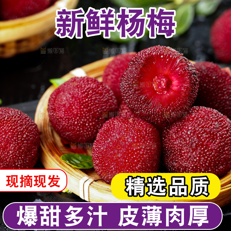 深底上的仙居杨梅
