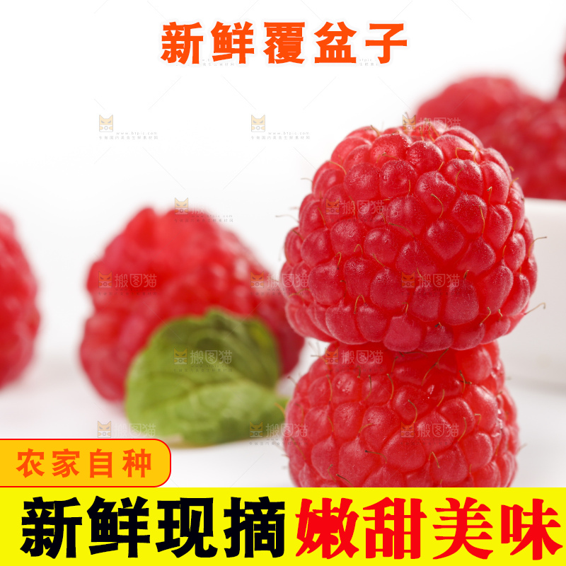 浅底上的新鲜覆盆子