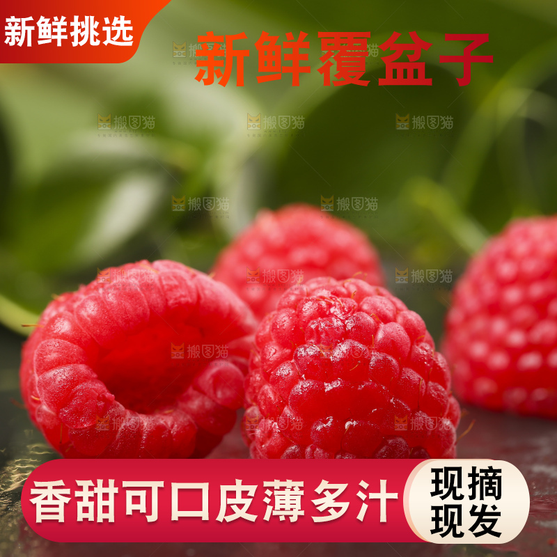 深底上的新鲜覆盆子