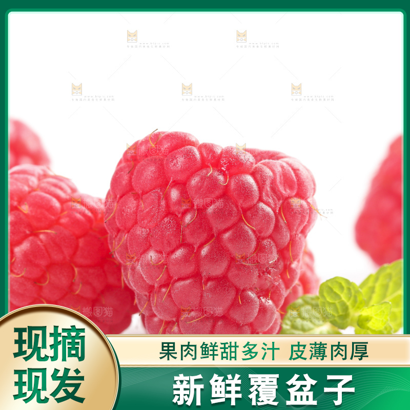 白底上的新鲜覆盆子