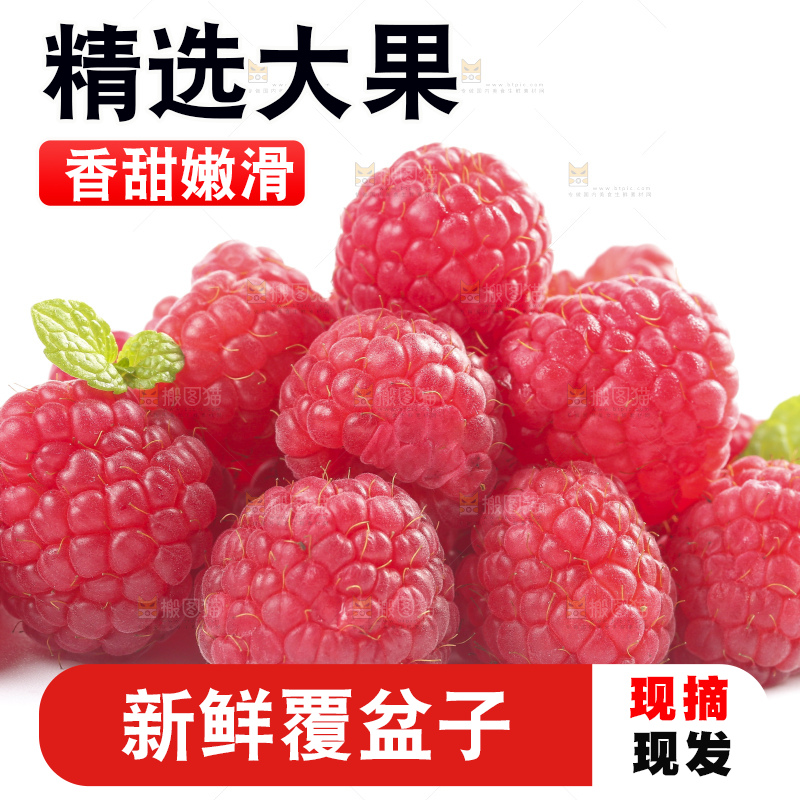 白底上的新鲜覆盆子