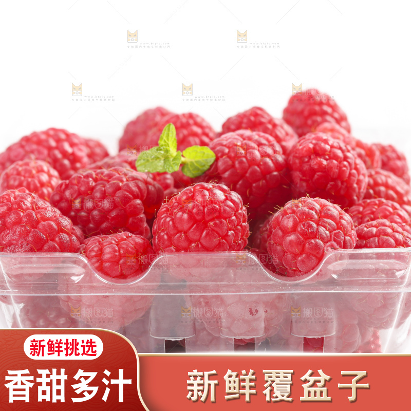 白底上的新鲜覆盆子