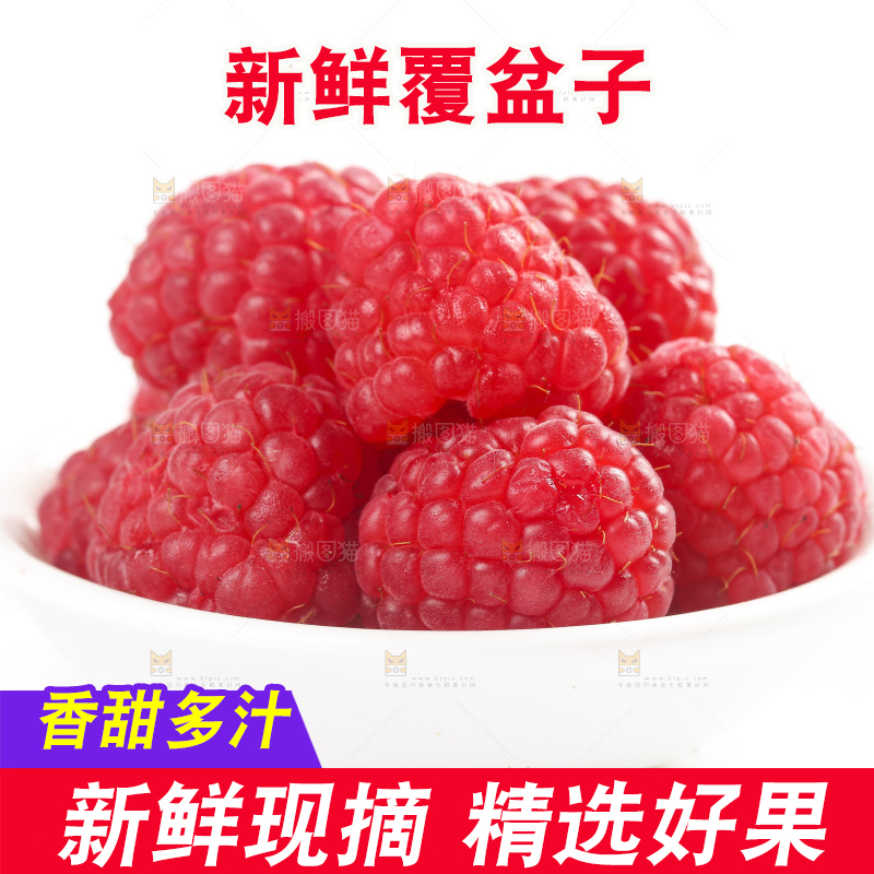 白底上的新鲜覆盆子