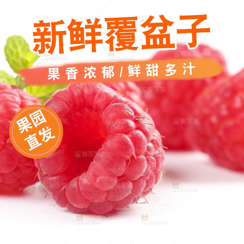 白底上的新鲜覆盆子