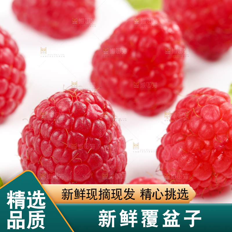 白底上的新鲜覆盆子