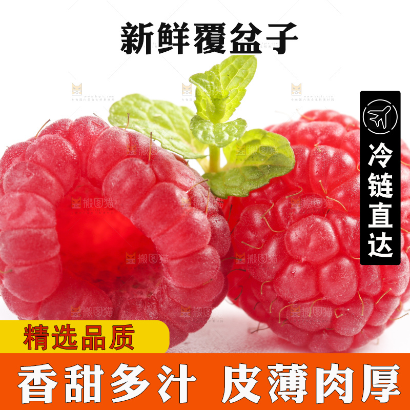 白底上的新鲜覆盆子