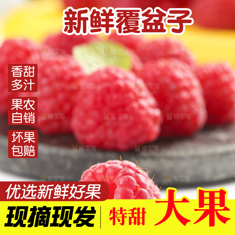 浅底上的新鲜覆盆子