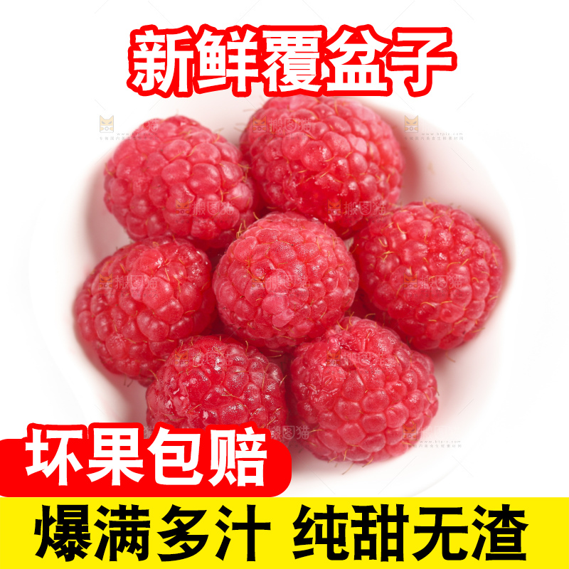 白底上的新鲜覆盆子