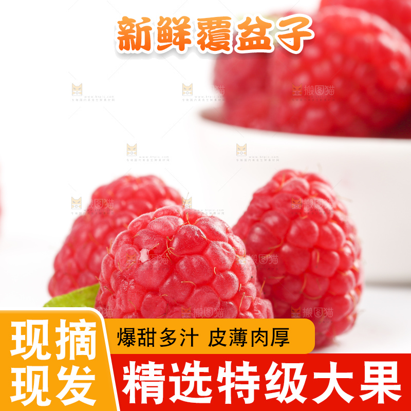 白底上的新鲜覆盆子