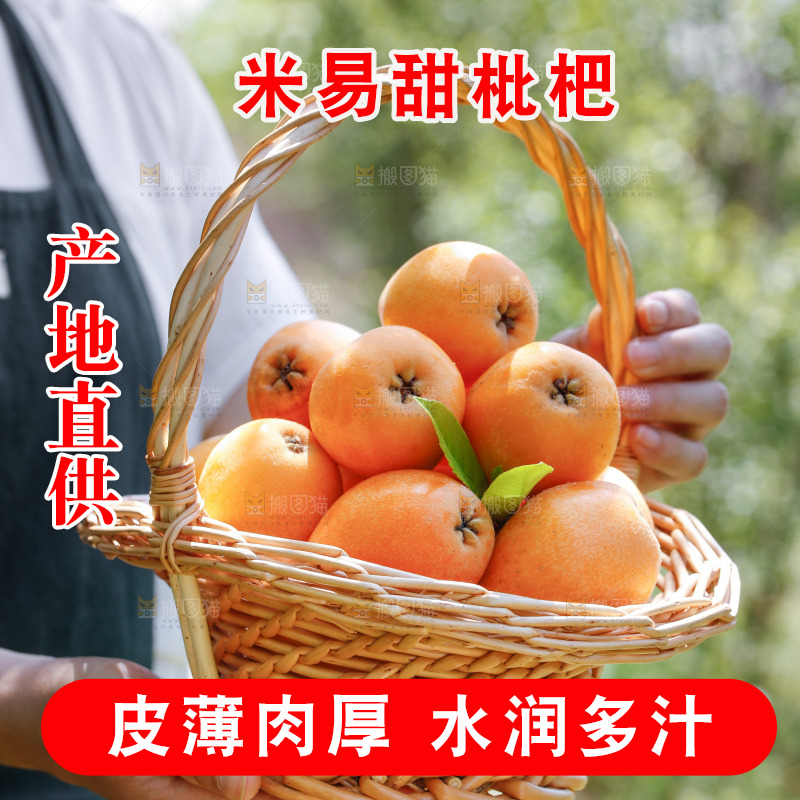 手里拿着米易枇杷