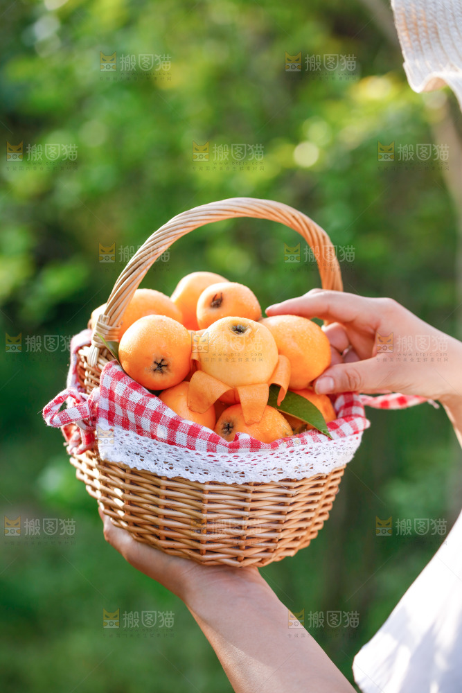 手里拿着米易枇杷