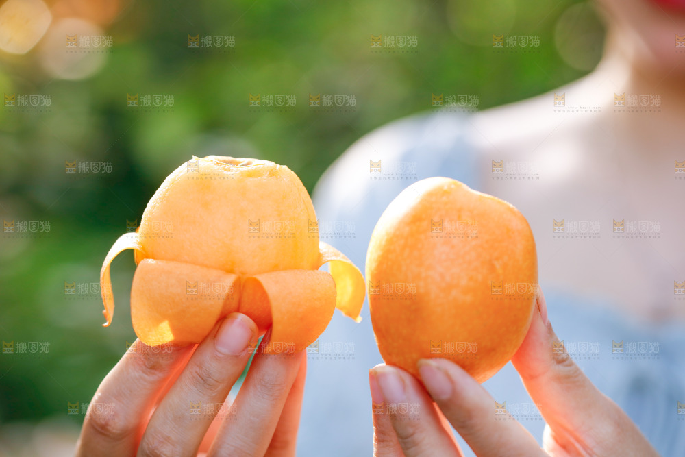 手里拿着米易枇杷