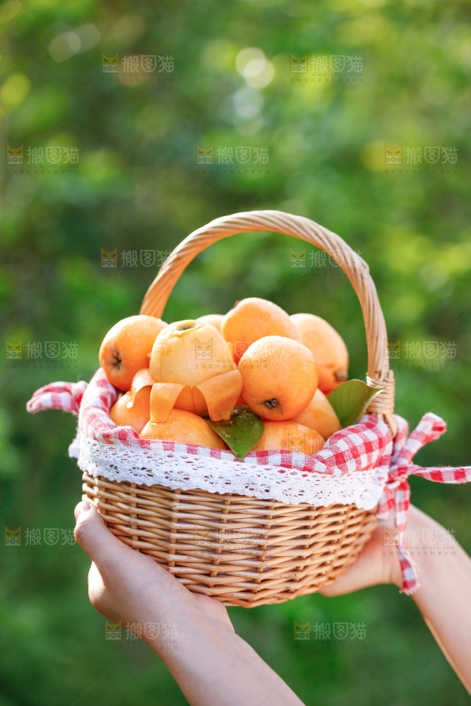 手里拿着米易枇杷