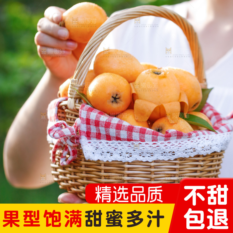 手里拿着米易枇杷