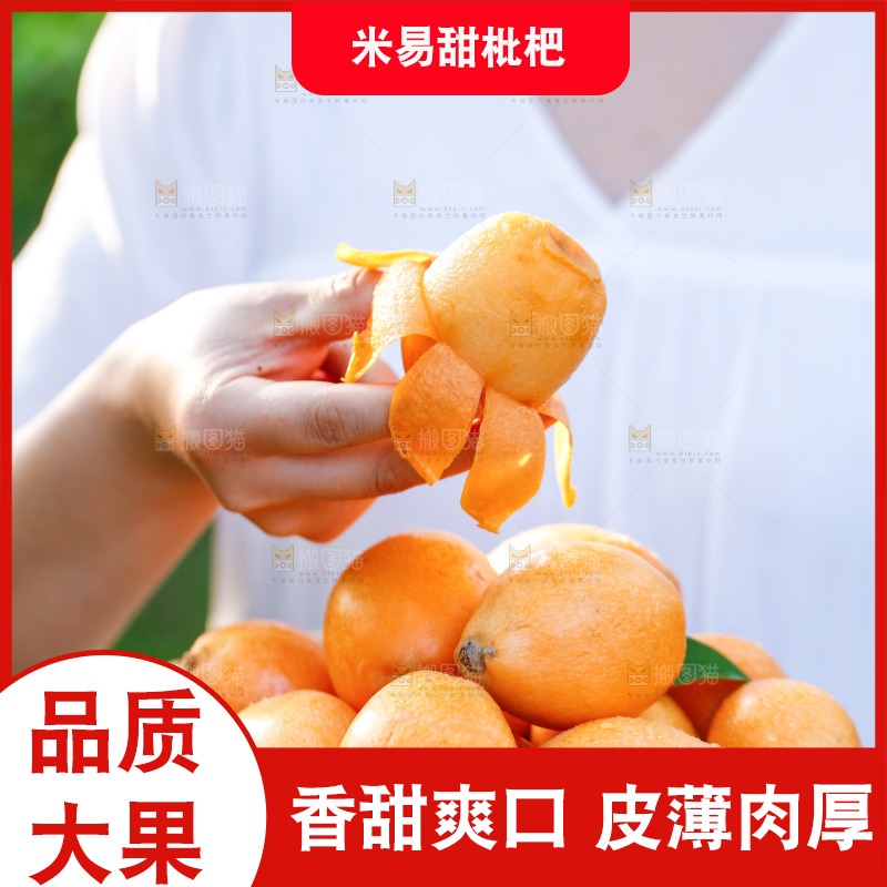 手里拿着米易枇杷