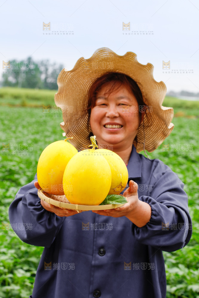 手里拿着的黄河蜜瓜