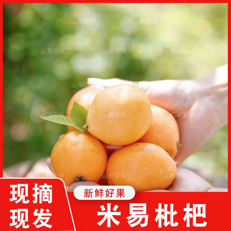 桌子上放着米易枇杷