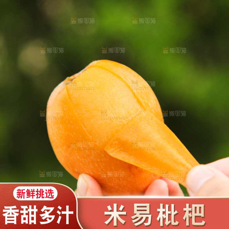 手里拿着米易枇杷