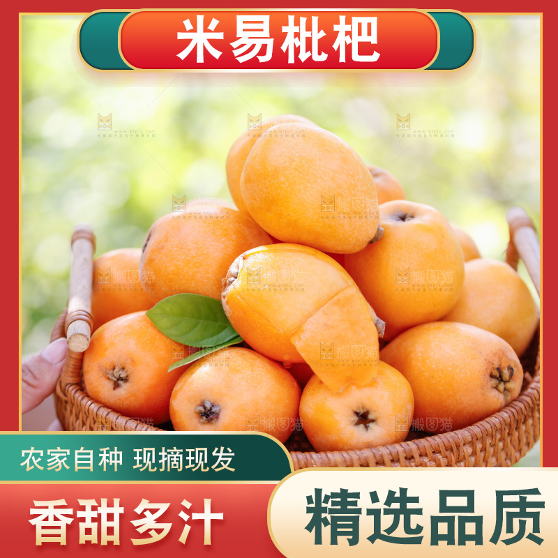 手里拿着米易枇杷