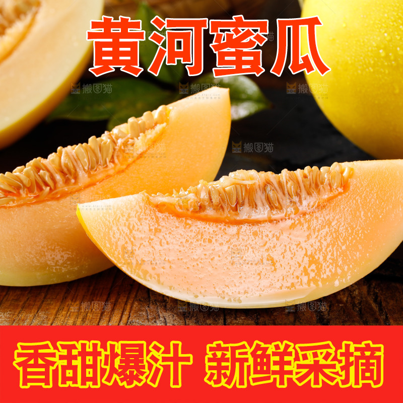 深底上的黄河蜜瓜